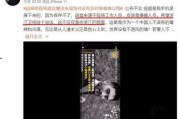 狼哥爆料现场视频播放网站,热门播放网站幕后真相大曝光