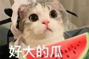 娱乐吃瓜君网红虐猫,娱乐吃瓜君引发社会热议