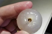 爆料荔枝有虫子怎么办视频,揭秘视频教你轻松应对