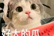 吃瓜网红照片大全高清图,高清图集大揭秘